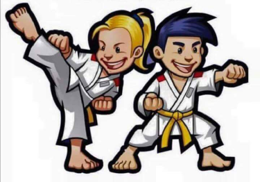 Logo Timmerssport Judo en TangSooDo